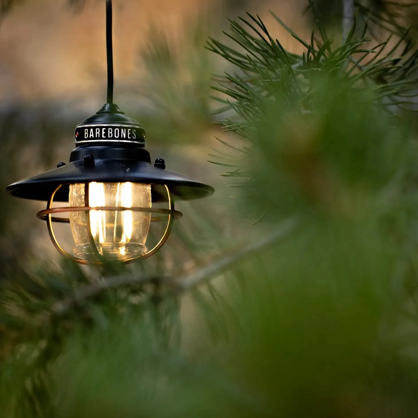 Edison Pendant Light