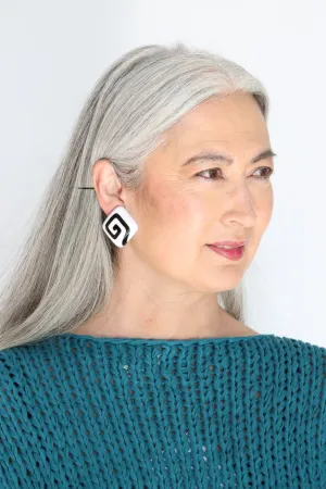 Sally Bass Spiral Resin Clips