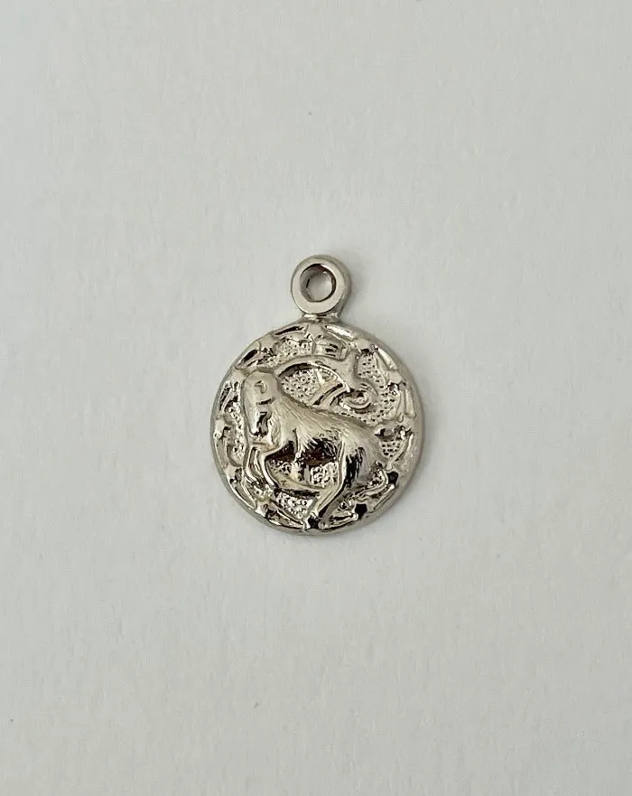 Stainless Steel Zodiac Necklace