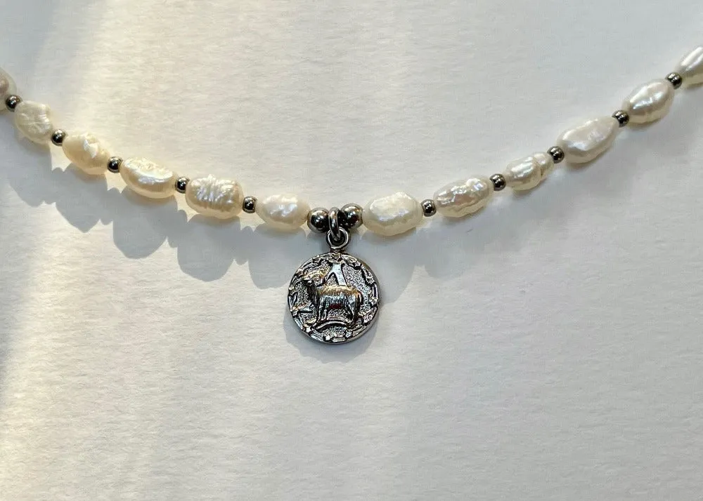 Stainless Steel Zodiac Necklace