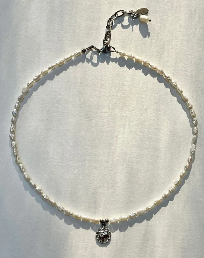 Stainless Steel Zodiac Necklace