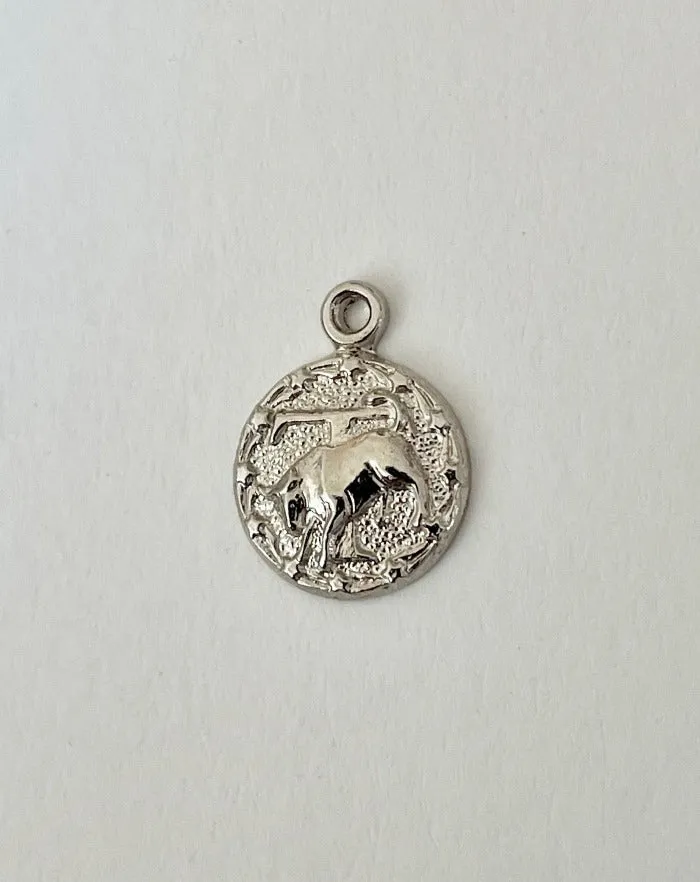 Stainless Steel Zodiac Necklace